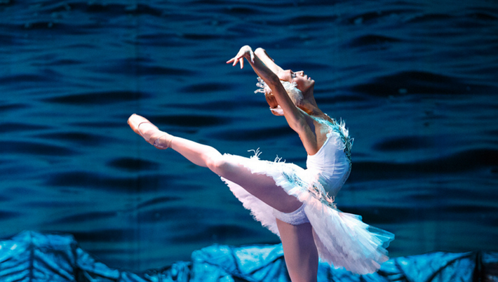 Swan Lake