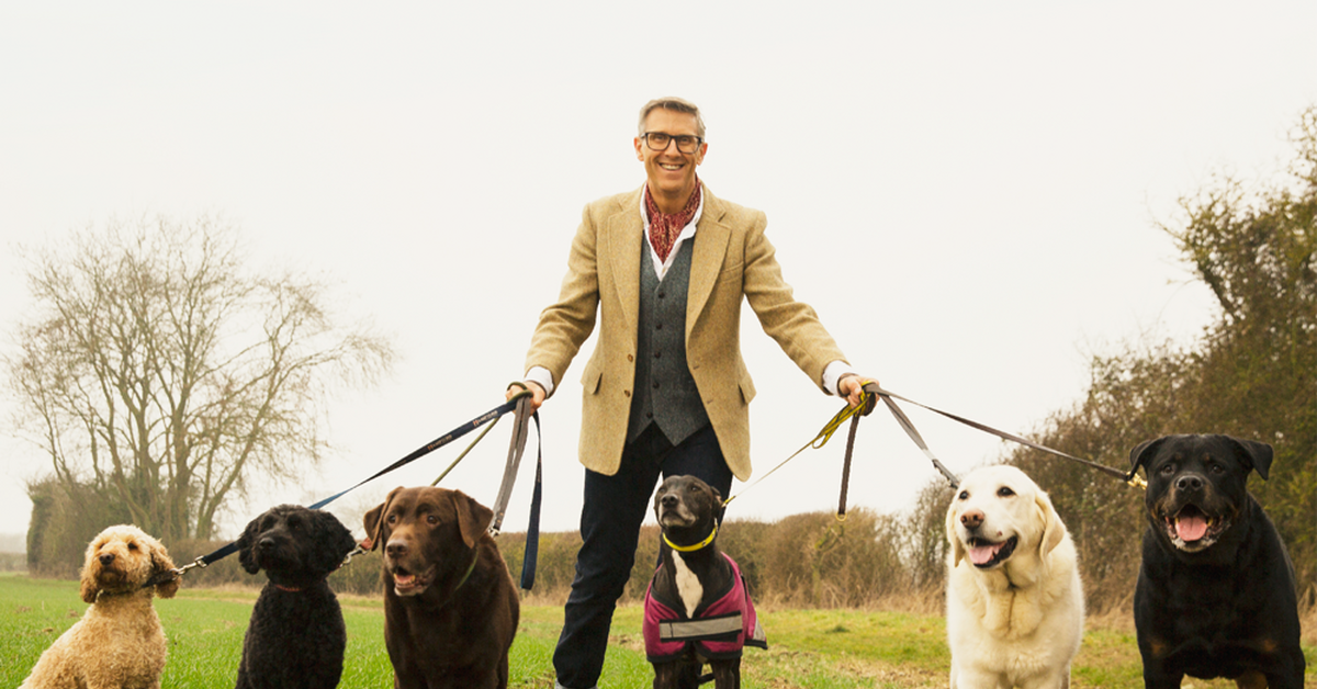 Graeme Hall The Dogfather Live On Stage Fairfield Halls Croydon